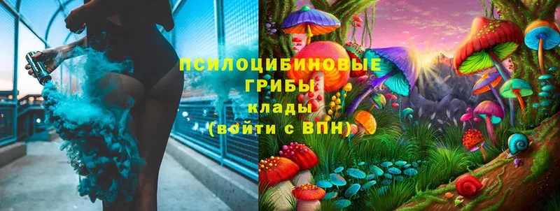 купить  сайты  Лакинск  MEGA ССЫЛКА  Псилоцибиновые грибы Cubensis 